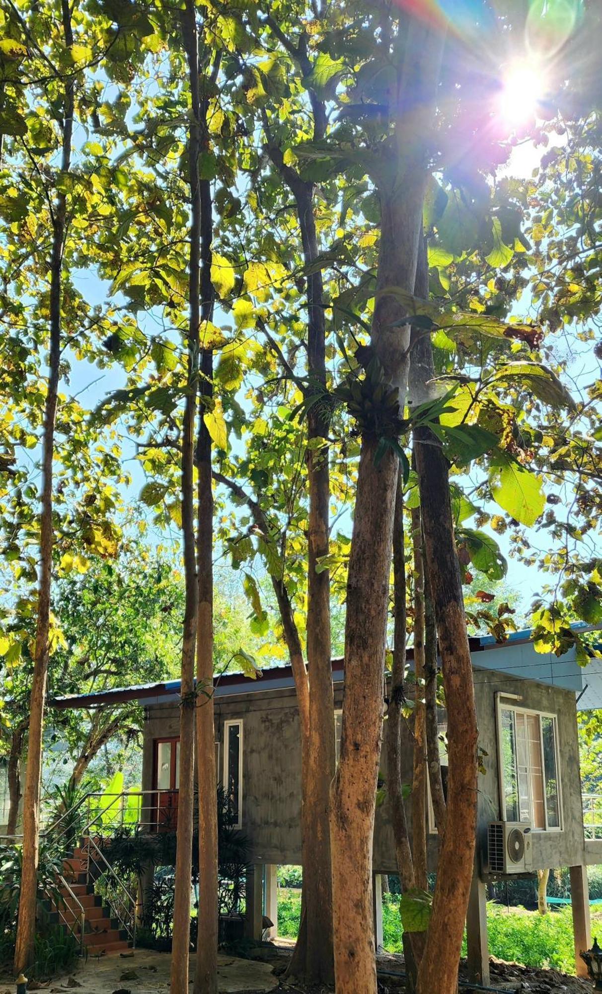 Rimtharnn Homestay Maewin Mae Wang Bagian luar foto